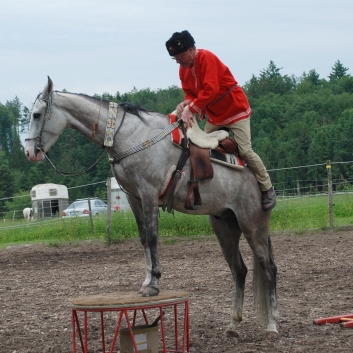 CV-Ponyfarm Showprogramm 2010 - 23