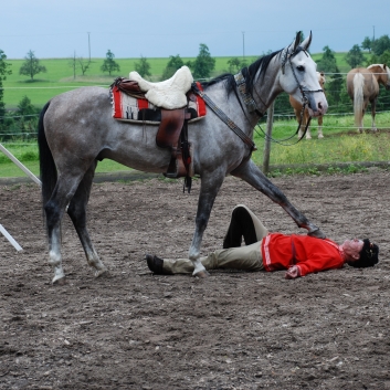 CV-Ponyfarm Showprogramm 2010 - 25