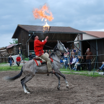CV-Ponyfarm Showprogramm 2010 - 26
