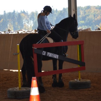 CV Ponyfarm - Erste Hoffest 2016 - 03