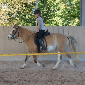 CV Ponyfarm - Erste Hoffest 2016 - 47