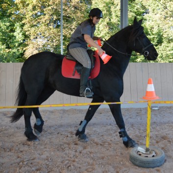 CV Ponyfarm - Erste Hoffest 2016 - 61