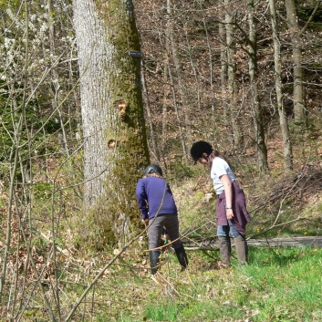 Die Ponys der CV-Ponyfarm auf Schatzsuche April 2011 - 07