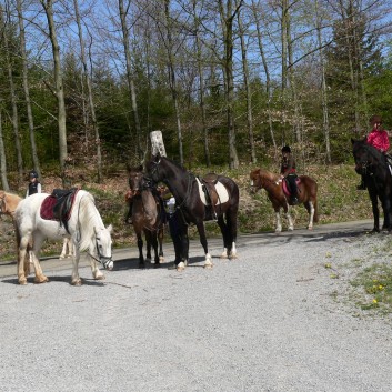 Die Ponys der CV-Ponyfarm auf Schatzsuche April 2011 - 08