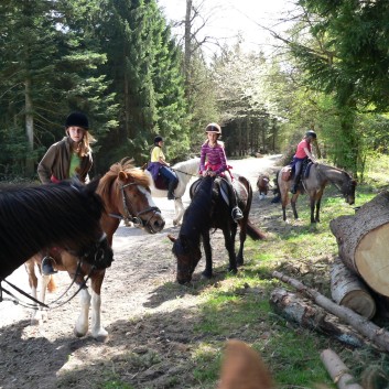 Die Ponys der CV-Ponyfarm auf Schatzsuche April 2011 - 15