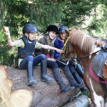 Die Ponys der CV-Ponyfarm auf Schatzsuche April 2011 - 23