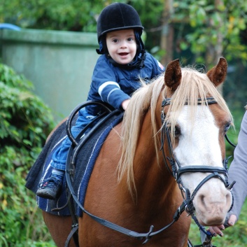 Die Ponys der CV-Ponyfarm in Kleinhoechberg im September 2011 - 06