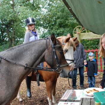 Die Ponys der CV-Ponyfarm in Kleinhoechberg im September 2011 - 12