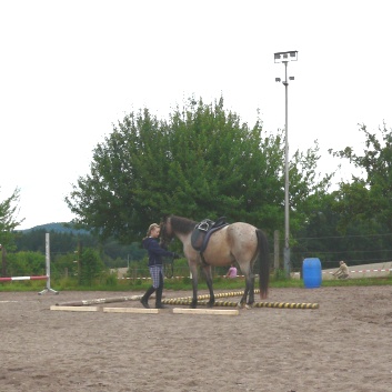 Die Ponys die CV-Ponyfarm in Steinbach 2011-2- 03