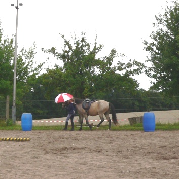 Die Ponys die CV-Ponyfarm in Steinbach 2011-2- 04