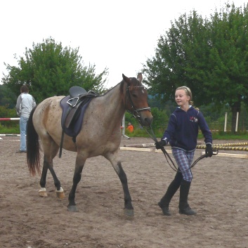 Die Ponys die CV-Ponyfarm in Steinbach 2011-2- 06