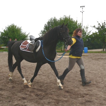 Die Ponys die CV-Ponyfarm in Steinbach 2011-2- 10