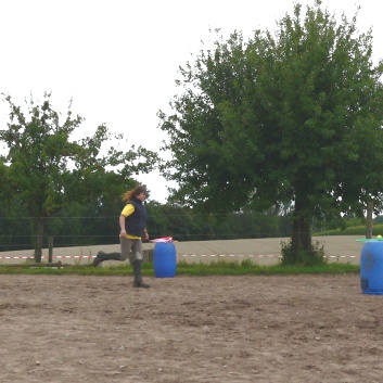 Die Ponys die CV-Ponyfarm in Steinbach 2011-2- 12
