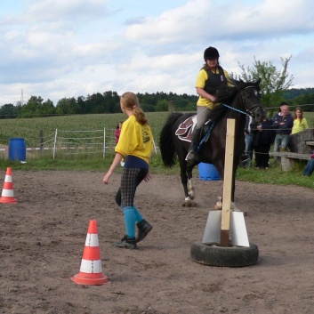 Die Ponys die CV-Ponyfarm in Steinbach 2011-2- 15
