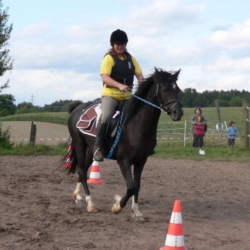 Die Ponys die CV-Ponyfarm in Steinbach 2011-2- 16