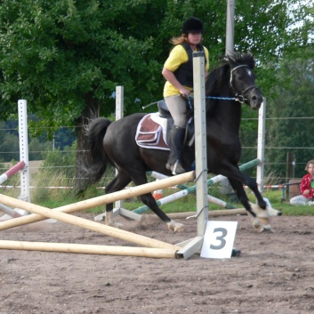 Die Ponys die CV-Ponyfarm in Steinbach 2011-2- 17