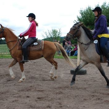 Die Ponys die CV-Ponyfarm in Steinbach 2011-2- 20