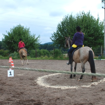 Die Ponys die CV-Ponyfarm in Steinbach 2011-2- 21