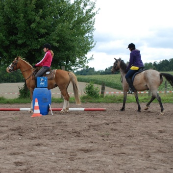 Die Ponys die CV-Ponyfarm in Steinbach 2011-2- 22