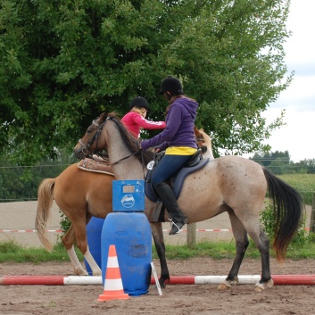 Die Ponys die CV-Ponyfarm in Steinbach 2011-2- 23