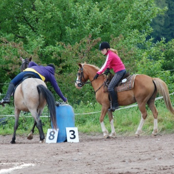 Die Ponys die CV-Ponyfarm in Steinbach 2011-2- 24
