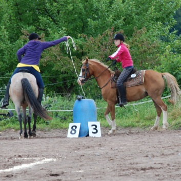 Die Ponys die CV-Ponyfarm in Steinbach 2011-2- 25