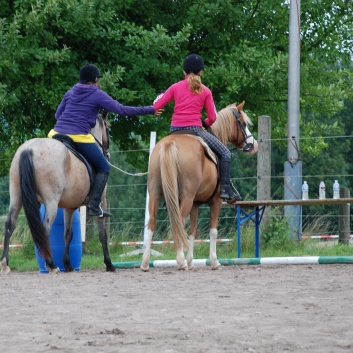 Die Ponys die CV-Ponyfarm in Steinbach 2011-2- 28