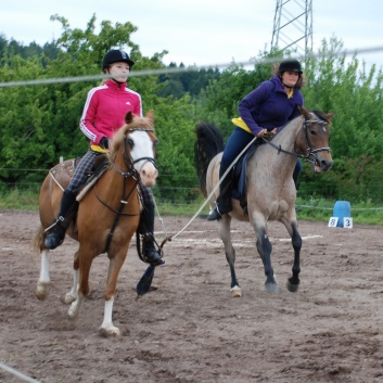 Die Ponys die CV-Ponyfarm in Steinbach 2011-2- 30