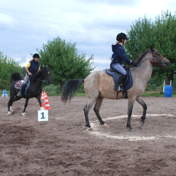 Die Ponys die CV-Ponyfarm in Steinbach 2011-2- 32