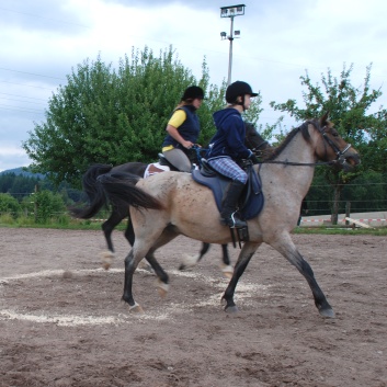 Die Ponys die CV-Ponyfarm in Steinbach 2011-2- 33