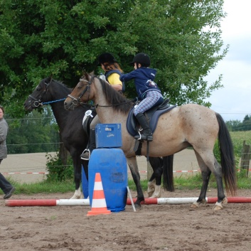 Die Ponys die CV-Ponyfarm in Steinbach 2011-2- 34