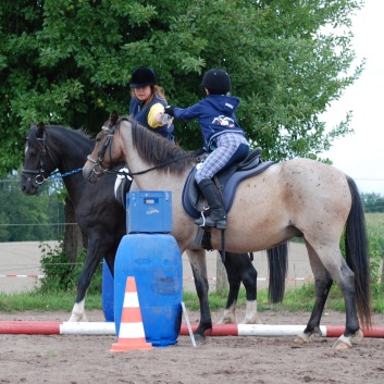 Die Ponys die CV-Ponyfarm in Steinbach 2011-2- 35