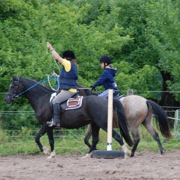 Die Ponys die CV-Ponyfarm in Steinbach 2011-2- 37