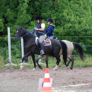 Die Ponys die CV-Ponyfarm in Steinbach 2011-2- 38
