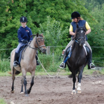 Die Ponys die CV-Ponyfarm in Steinbach 2011-2- 39