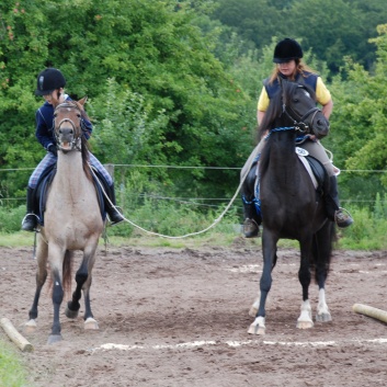 Die Ponys die CV-Ponyfarm in Steinbach 2011-2- 40
