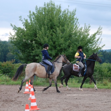 Die Ponys die CV-Ponyfarm in Steinbach 2011-2- 43