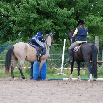 Die Ponys die CV-Ponyfarm in Steinbach 2011-2- 45