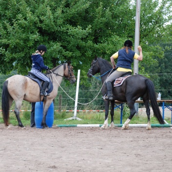 Die Ponys die CV-Ponyfarm in Steinbach 2011-2- 46