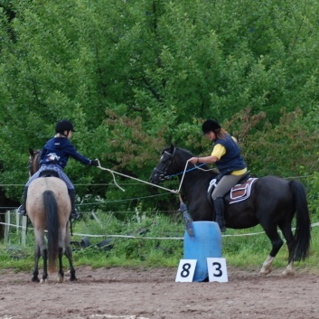 Die Ponys die CV-Ponyfarm in Steinbach 2011-2- 48