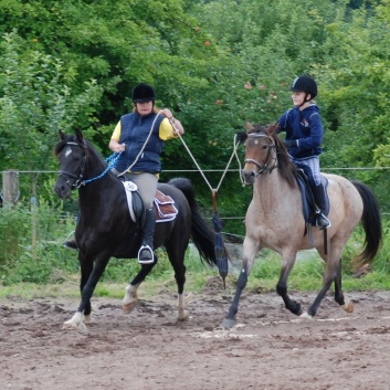 Die Ponys die CV-Ponyfarm in Steinbach 2011-2- 49