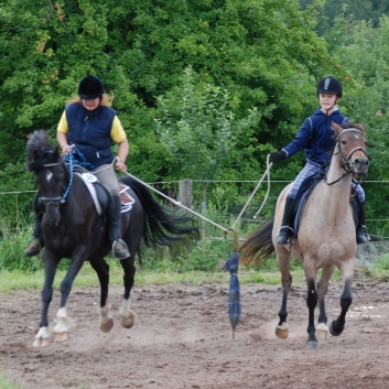 Die Ponys die CV-Ponyfarm in Steinbach 2011-2- 50