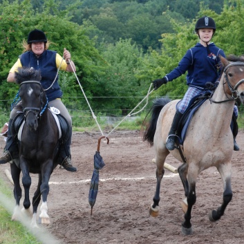 Die Ponys die CV-Ponyfarm in Steinbach 2011-2- 51