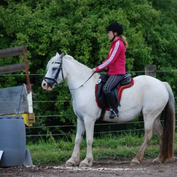 Die Ponys die CV-Ponyfarm in Steinbach 2011-2- 52