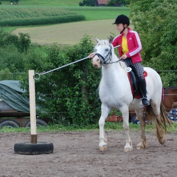 Die Ponys die CV-Ponyfarm in Steinbach 2011-2- 53