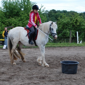 Die Ponys die CV-Ponyfarm in Steinbach 2011-2- 54
