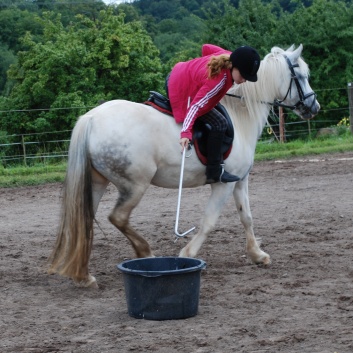Die Ponys die CV-Ponyfarm in Steinbach 2011-2- 55