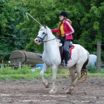 Die Ponys die CV-Ponyfarm in Steinbach 2011-2- 56