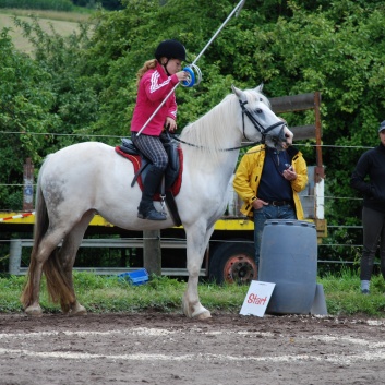 Die Ponys die CV-Ponyfarm in Steinbach 2011-2- 58