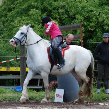 Die Ponys die CV-Ponyfarm in Steinbach 2011-2- 59